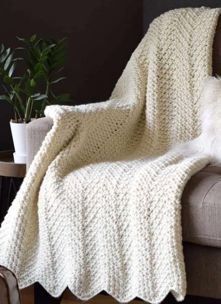 FFKHYCA Beginners Crochet Blanket Kit All in One Kits